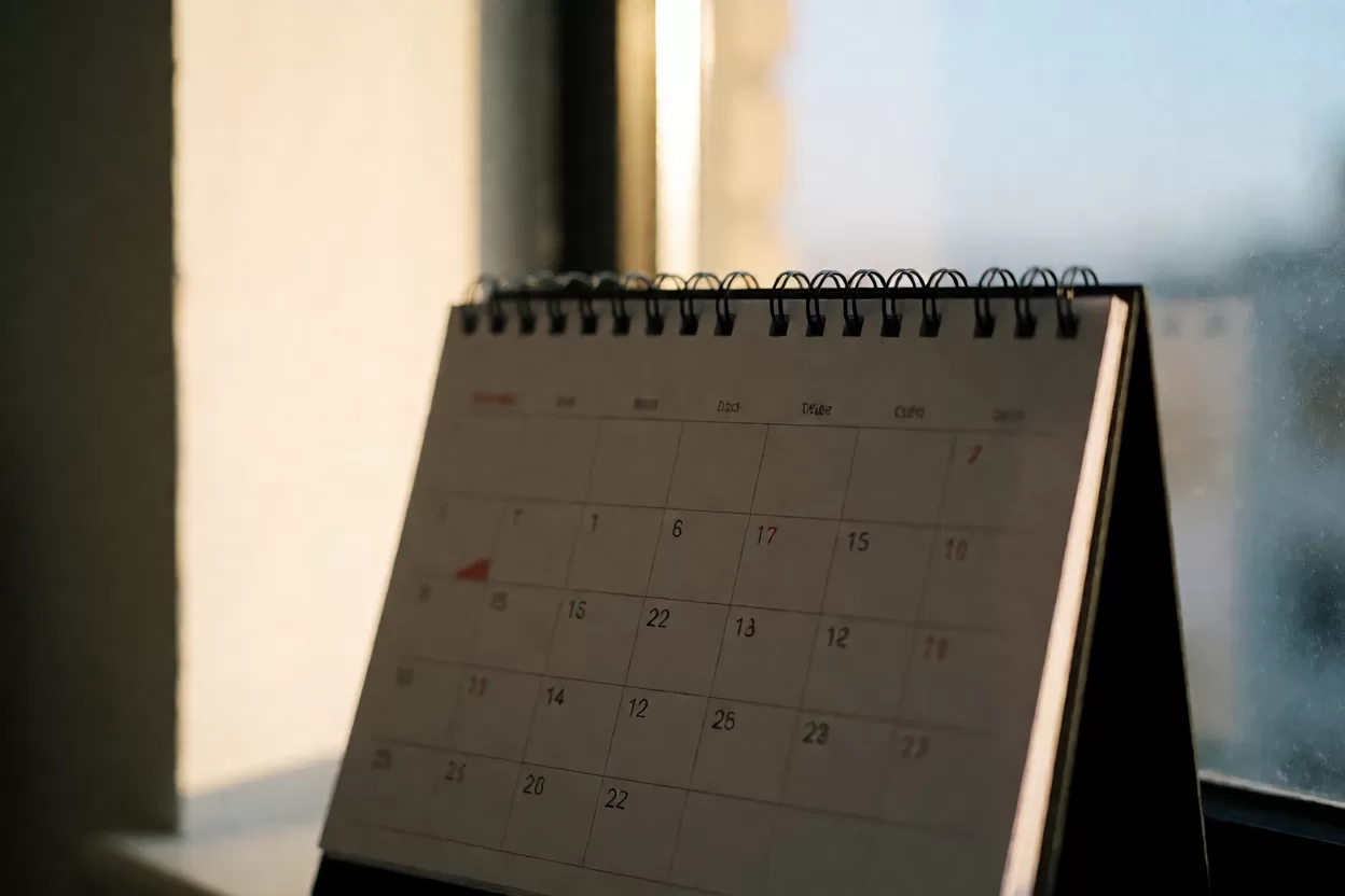 作者在窗边整理旧笔记，决定不再频繁更换软件
